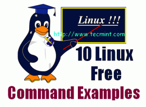 10 &#8216;free&#8217; Commands to Check Memory Usage in Linux