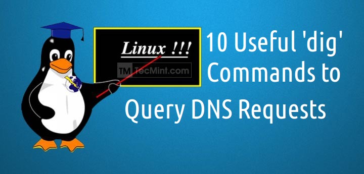 10 Linux Dig (Domain Information Groper) Commands to Query DNS