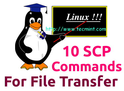 10 SCP Commands to Transfer Files/Folders in Linux