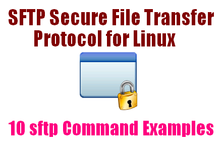 10 sFTP Command Examples to Transfer Files on Remote Servers in Linux