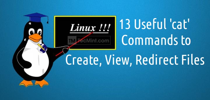 13 Basic Cat Command Examples in Linux