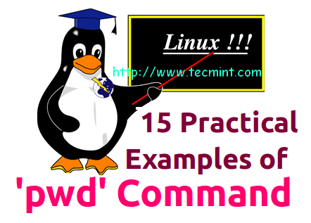 15 &#8216;pwd&#8217; (Print Working Directory) Command Examples in Linux