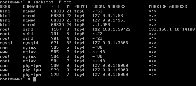 15 Useful &#8216;Sockstat Command Examples&#8217; to Find Open Ports in FreeBSD