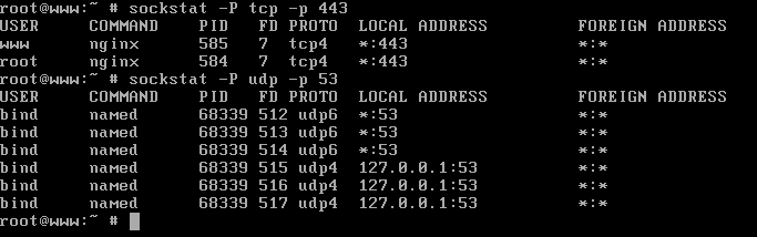 15 Useful &#8216;Sockstat Command Examples&#8217; to Find Open Ports in FreeBSD