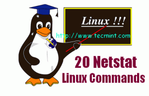 20 Netstat Commands for Linux Network Management