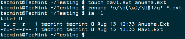 Rename – A Command Line Tool For Renaming Multiple Files in Linux