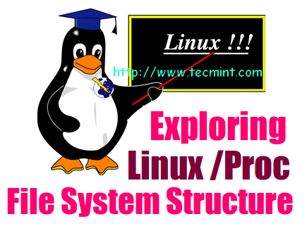 Exploring /proc File System in Linux