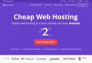 Hostinger Review