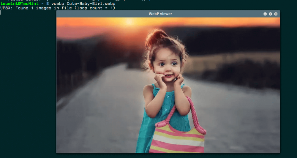 How to Convert Images to WebP Format in Linux