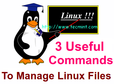 Manage Files Effectively using head, tail and cat Commands in Linux