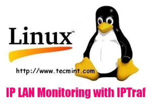 Real Time Interactive IP LAN Monitoring with IPTraf Tool