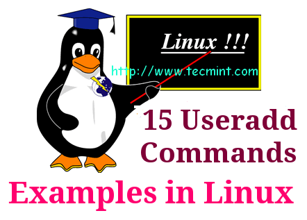 The Complete Guide to &#8220;useradd&#8221; Command in Linux &#8211; 15 Practical Examples